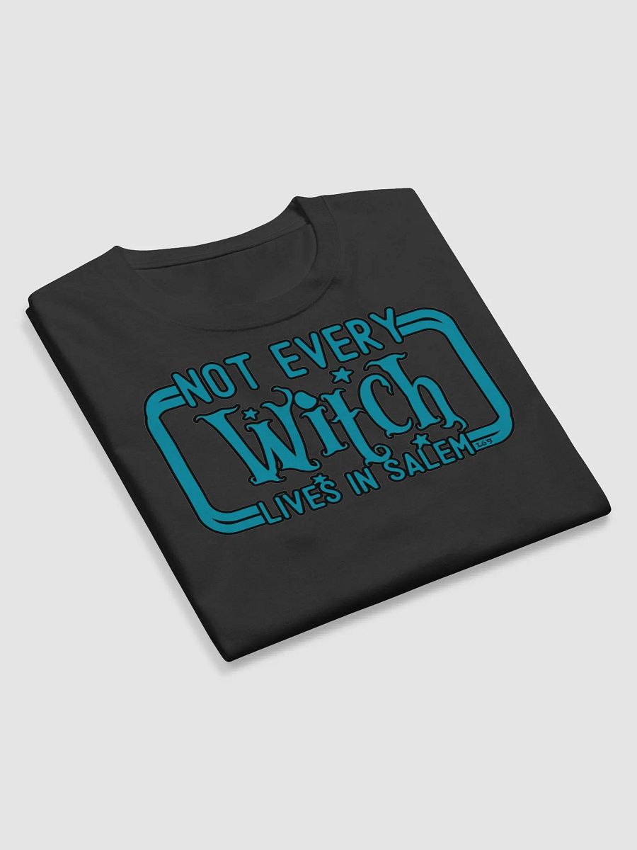NOT EVERY WITCH LIVES IN SALEM product image (10)