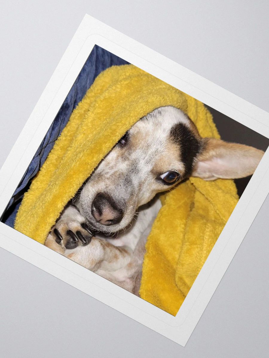 Bronx in Repose product image (5)
