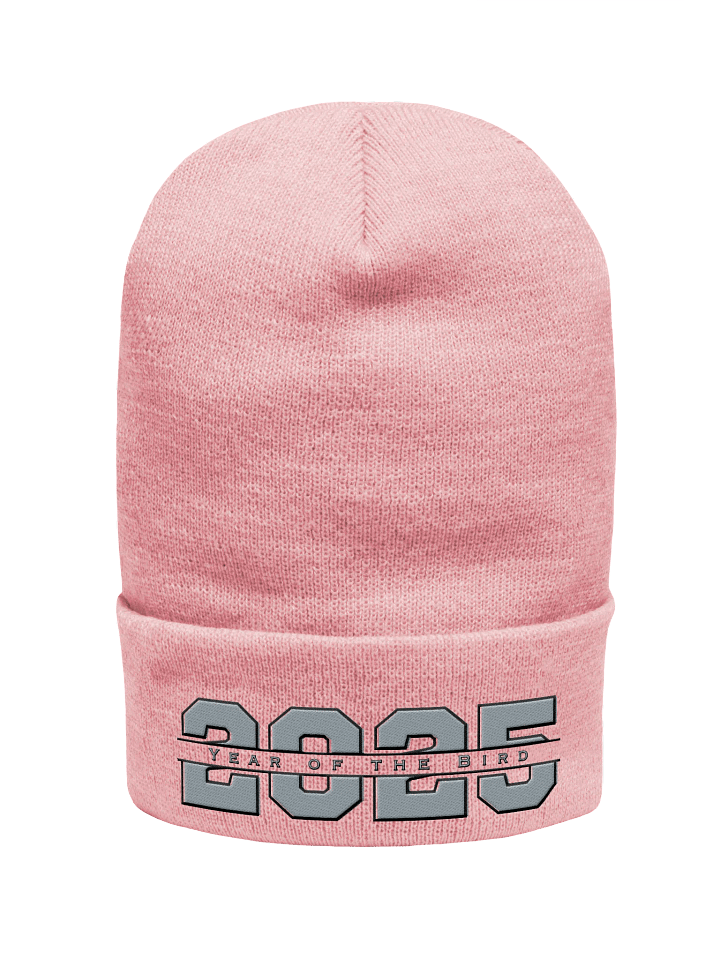 Grey "Year of the Bird" Beanie product image (2)