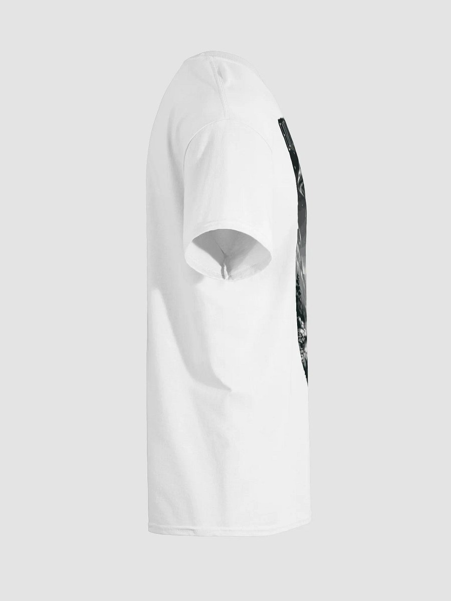 Gildan Heavyweight T-Shirt - Earth was cool product image (8)