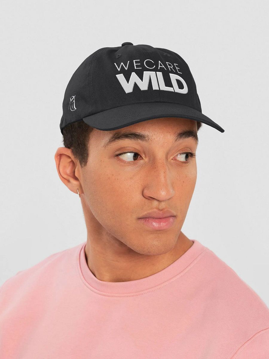 Dad Hat product image (40)