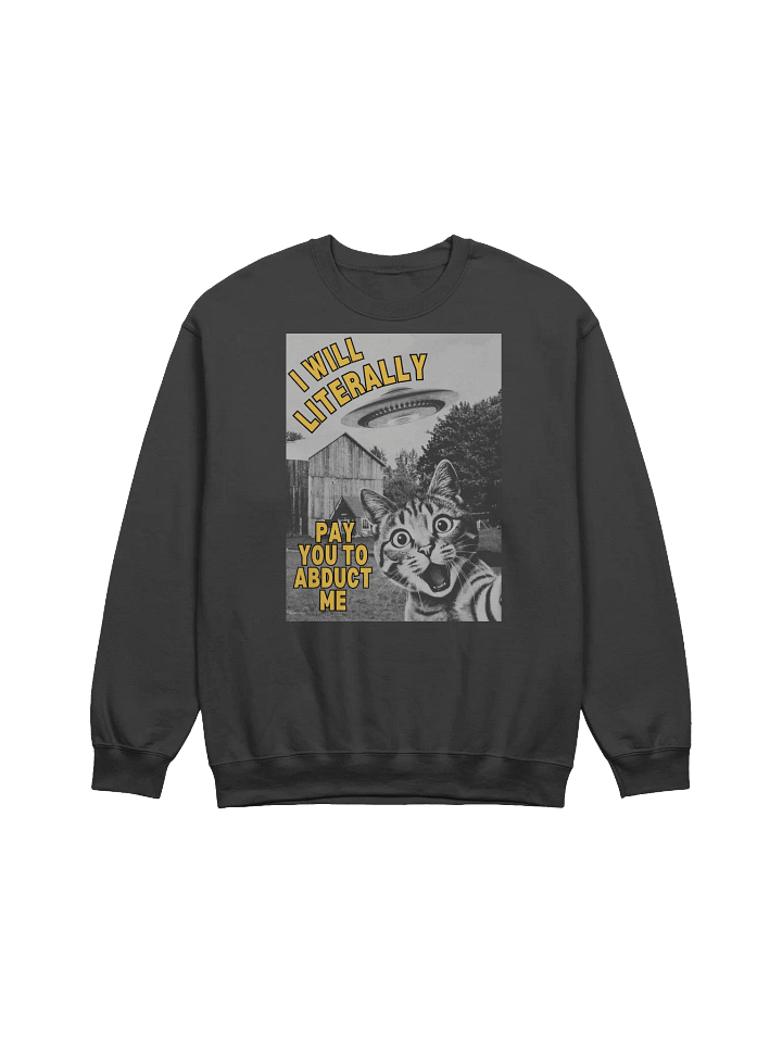I Will Literally Pay You To Abduct Me Sweatshirt product image (1)