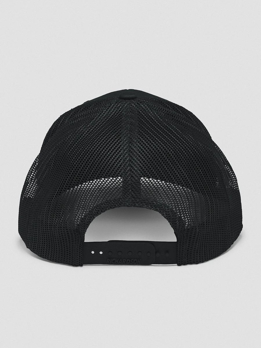 DT Snapback Logo Hat product image (4)