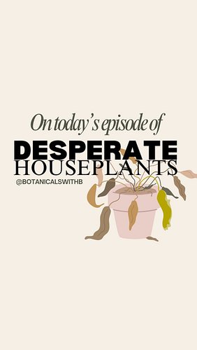 Sometimes you just need to start over and that’s fine. Join me as I transform 6 plants that needed some love. 

Did you spruc...