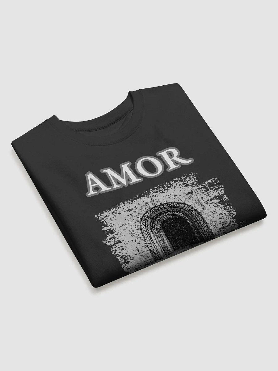 AMOR FATI Sweatshirt product image (42)