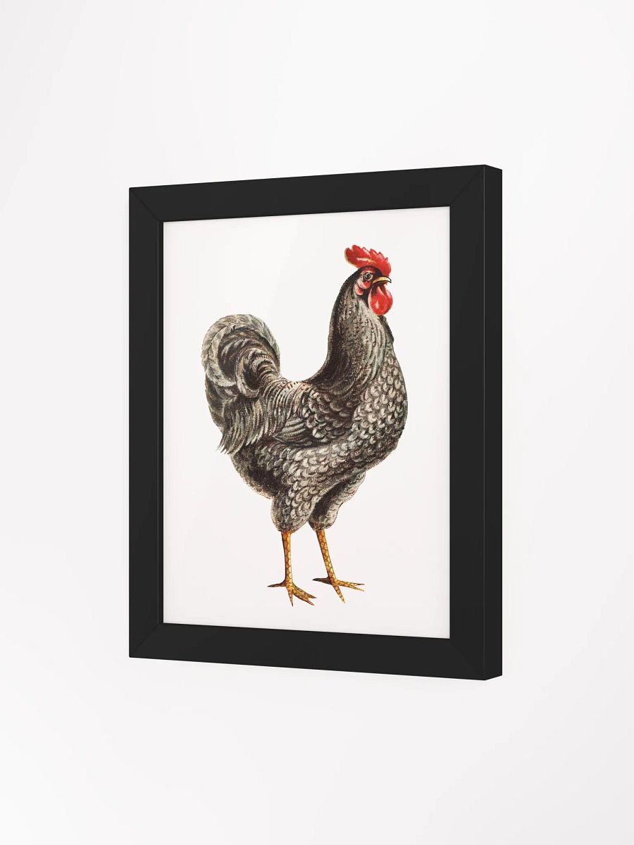 'Elegant Rooster' Framed Matte Poster product image (3)