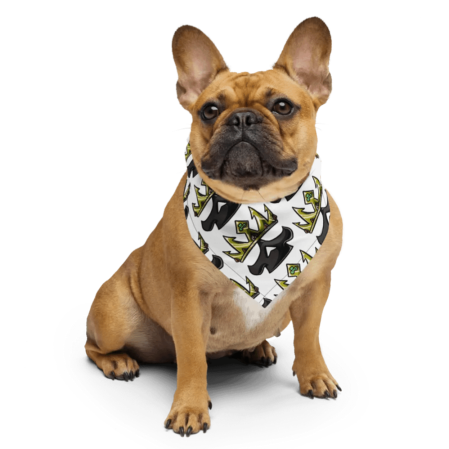 skull bandanna product image (6)
