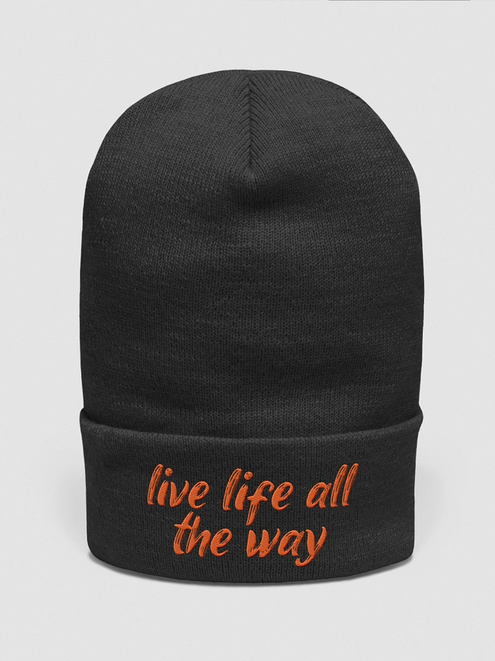 Live Life All The Way (REUNITED) - Embroidered Beanie product image (6)