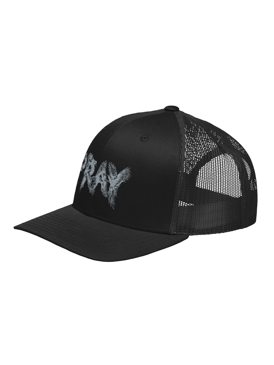 Birds Of Pray Retro Hat product image (3)