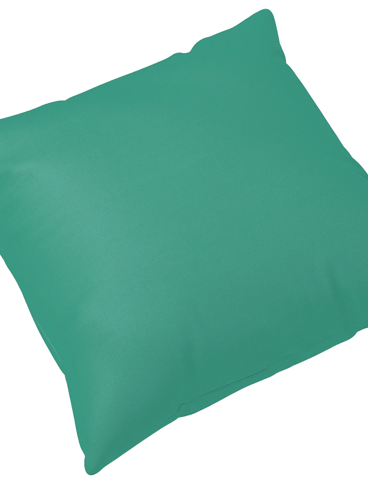 Columbia Road Market Logo Print Pillow (Light Teal) product image (2)