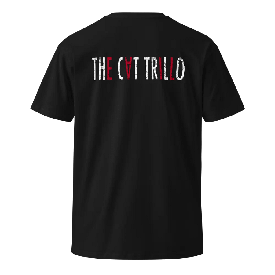 6 years on Twitch, shirt! product image (2)