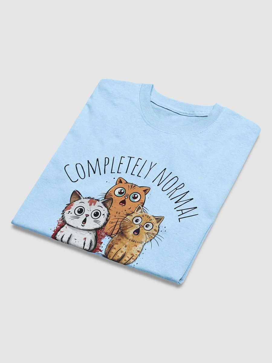 Completely Normal 3 Cats Ago Crazy Cat Person product image (16)