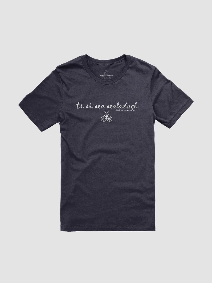 Tá Sé Seo Sealadach (This is Temporary) T-shirt Dark Colors product image (1)