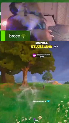 i swear he's the reason i died but thanks for the carry @fvknjohn ft. @belamithedood | #smokedbroccoli on #Twitch