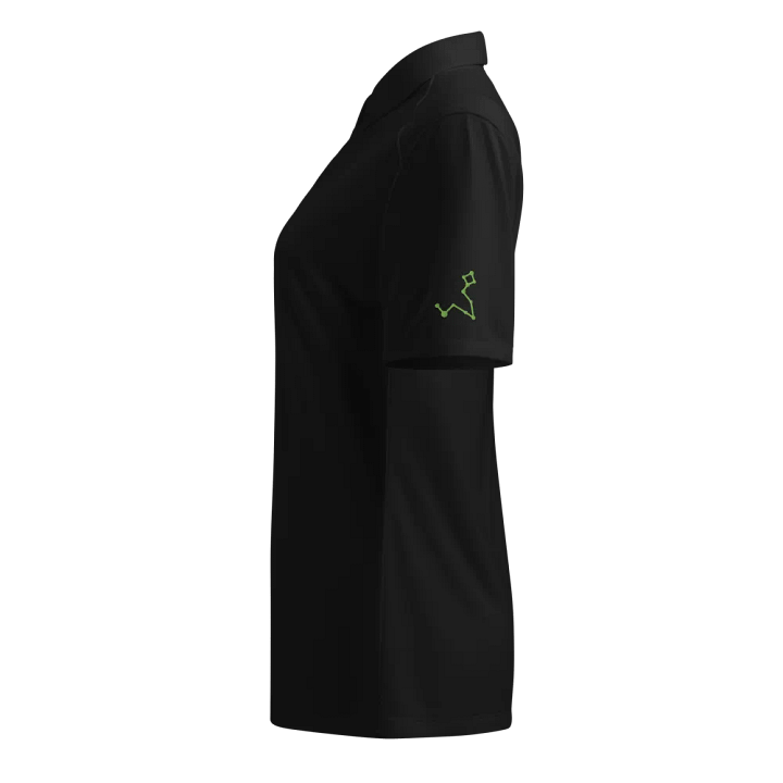 Stellar Pisces Connections Women's Polo product image (1)