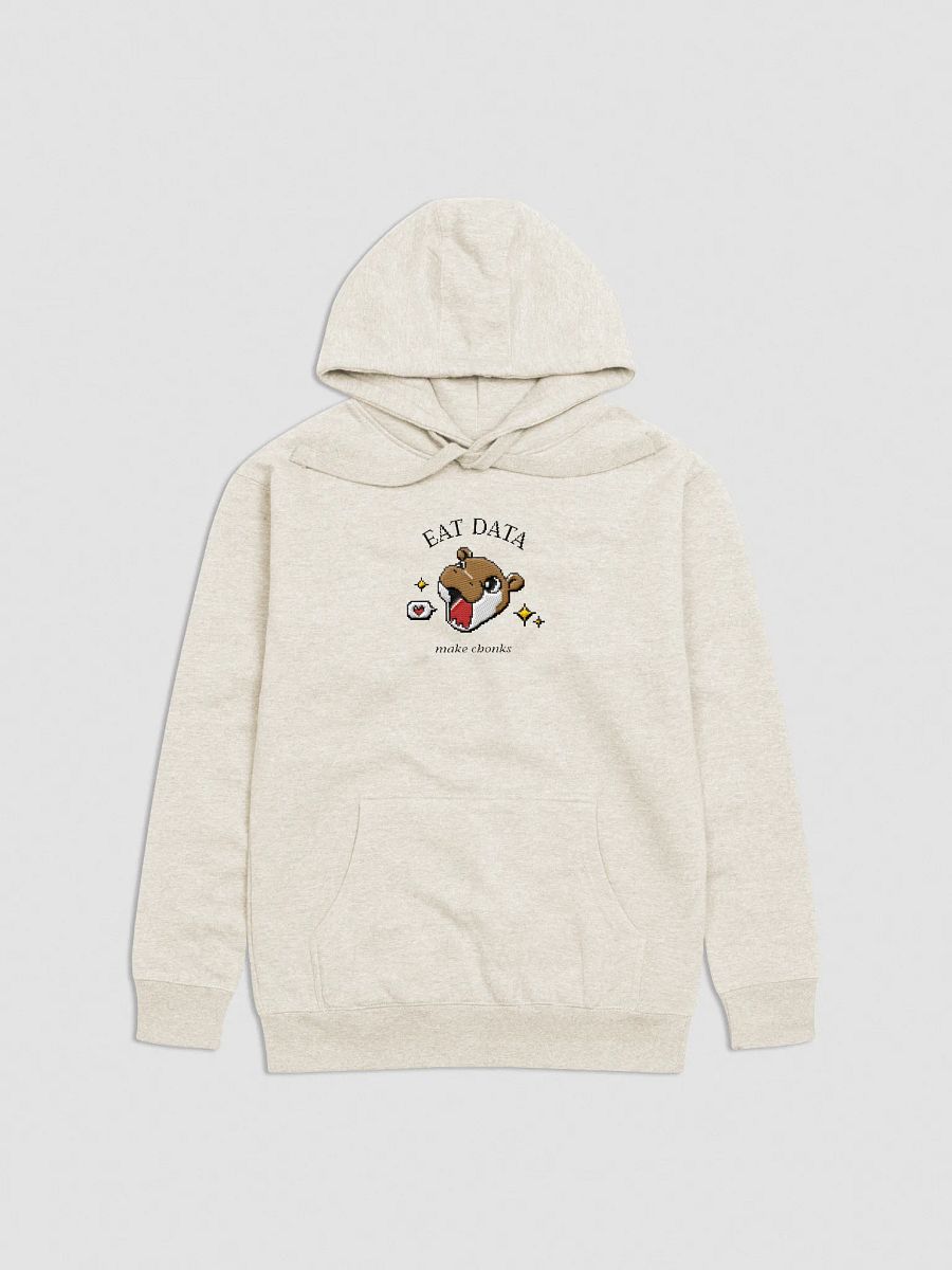CHONKIE EMBRODERED HOODIE product image (1)