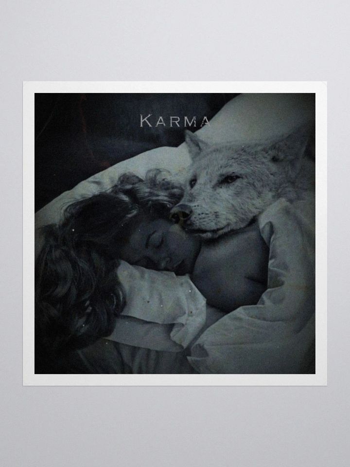 Karma XIV product image (3)