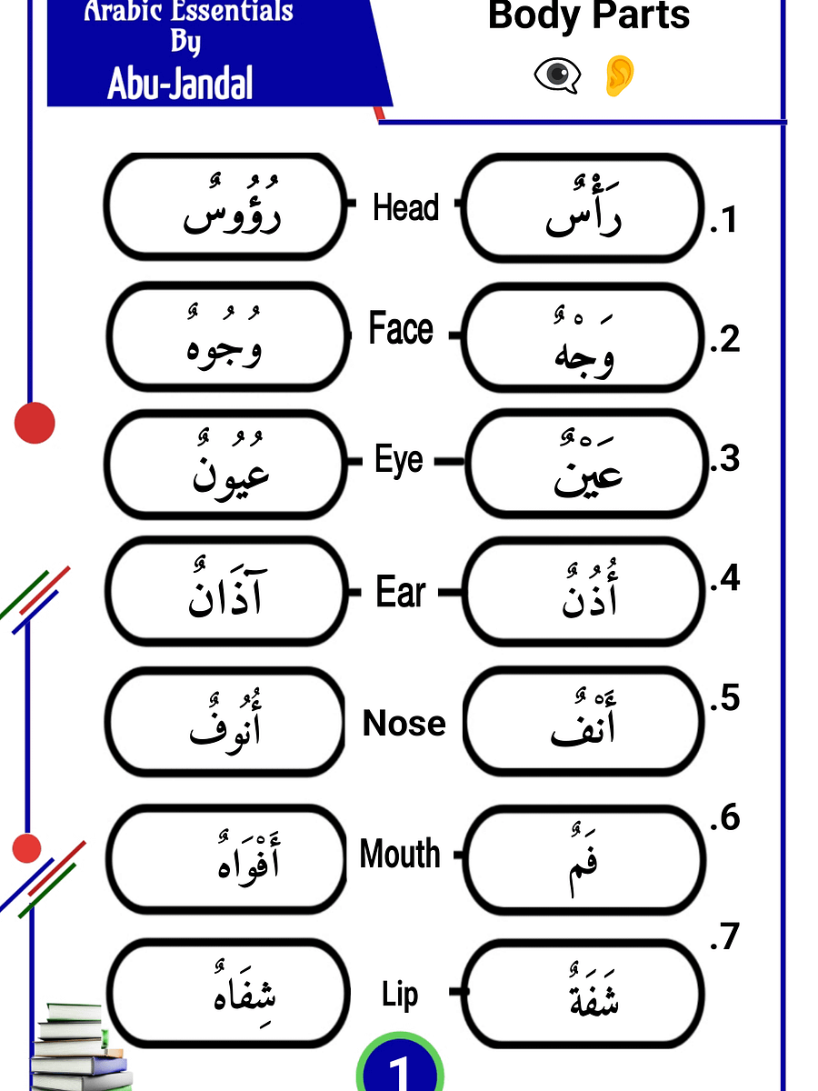 1000 Arabic Words and Plurals product image (4)
