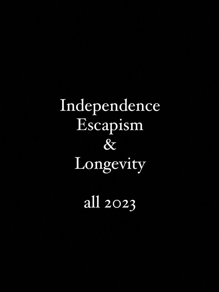 See you see me NFT product image (1)