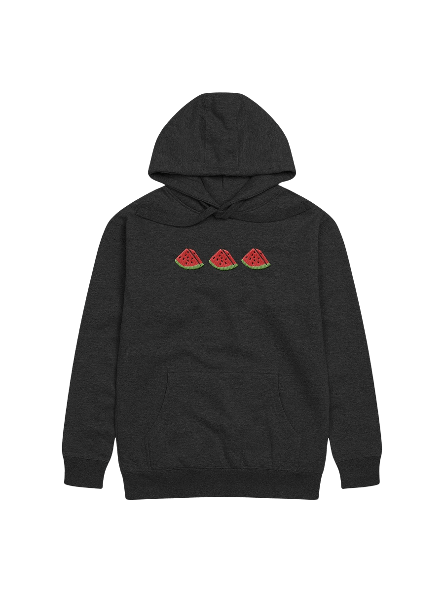 Sandia Embroidered Hoodie (black) product image (1)