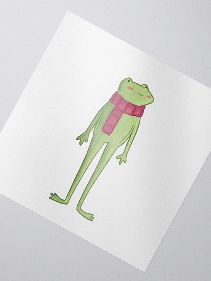 cozy lil frog product image (2)