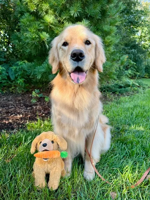 Pearl The Golden Girl Plush product image (1)