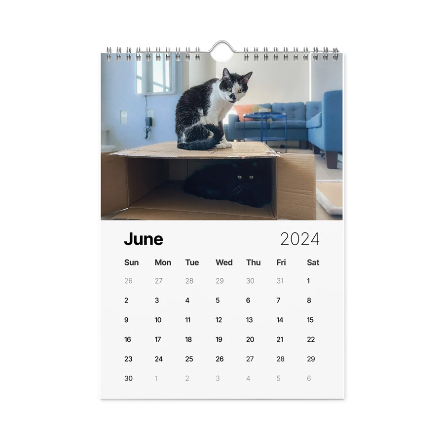 The 2024 ShoKo Cat Calendar product image (12)