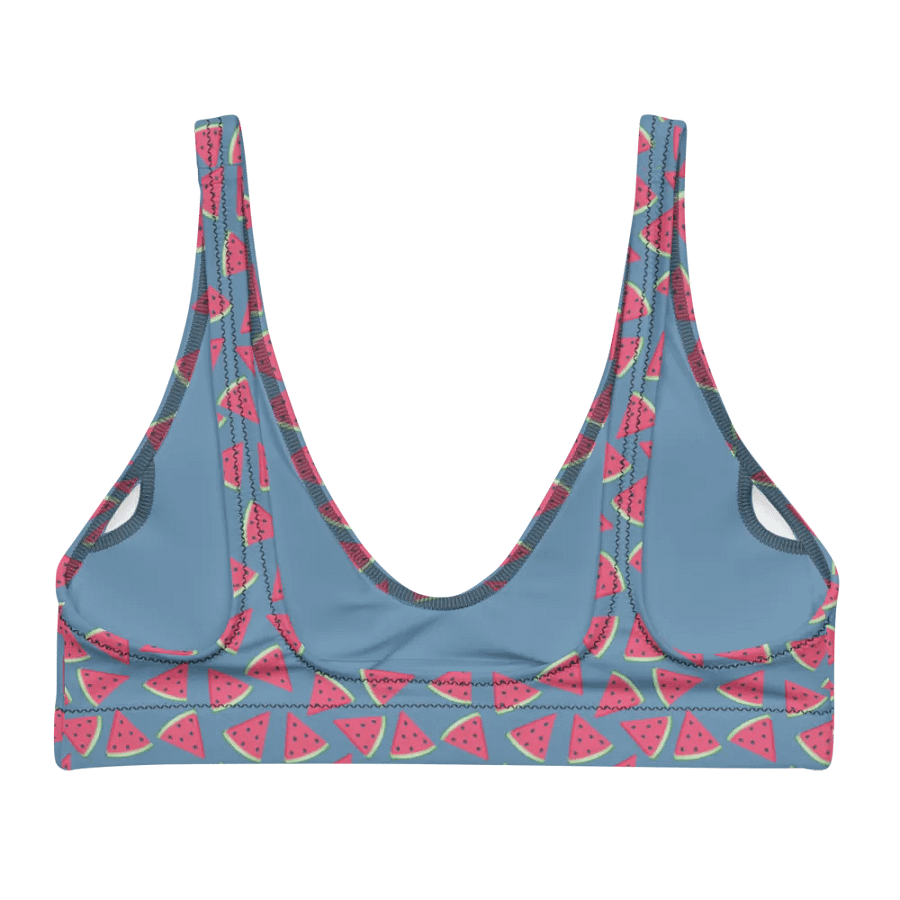 Watermelon Patterns Bikini Top product image (3)