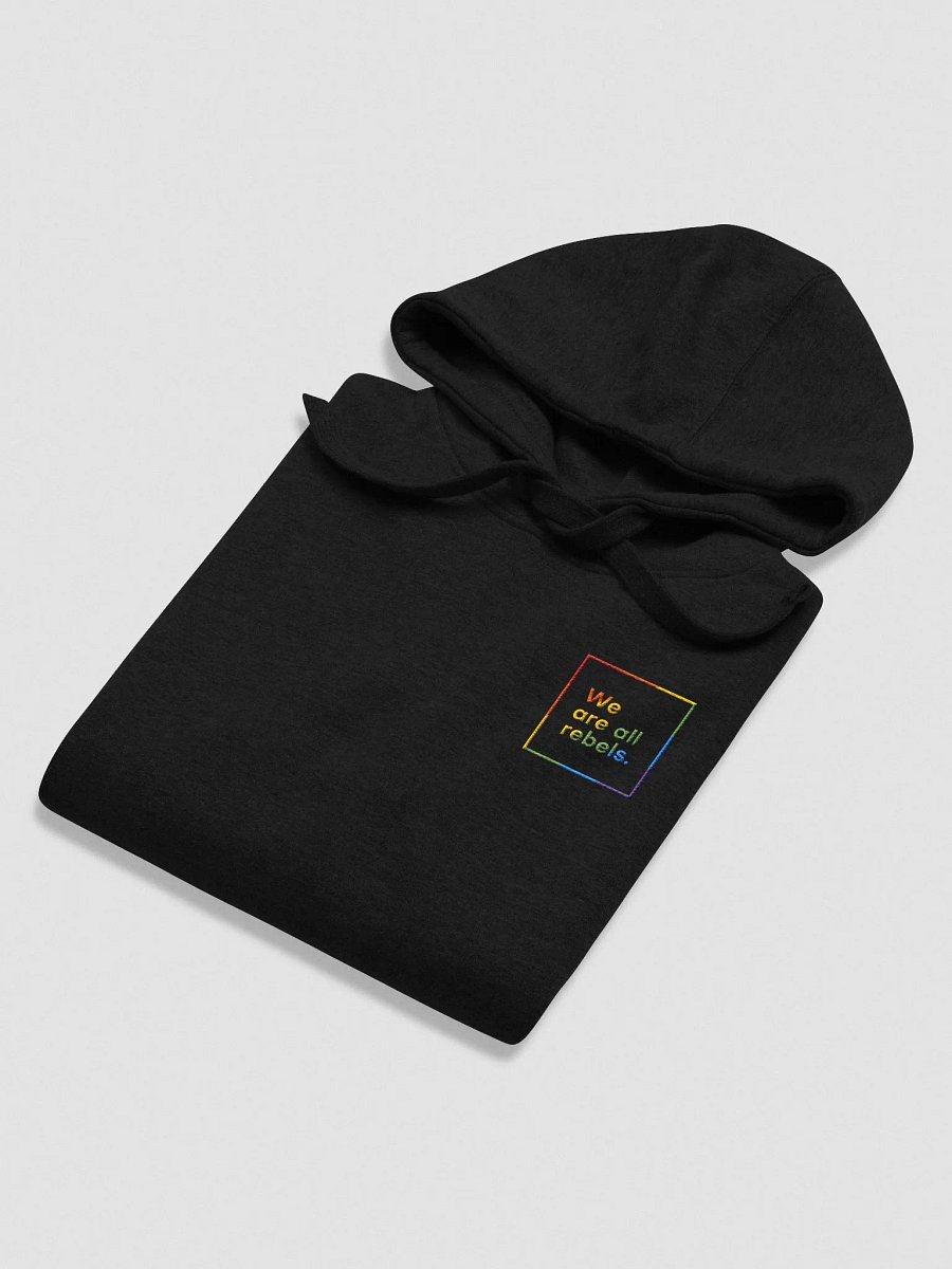 Pride Hoodie (Embroidered) product image (4)