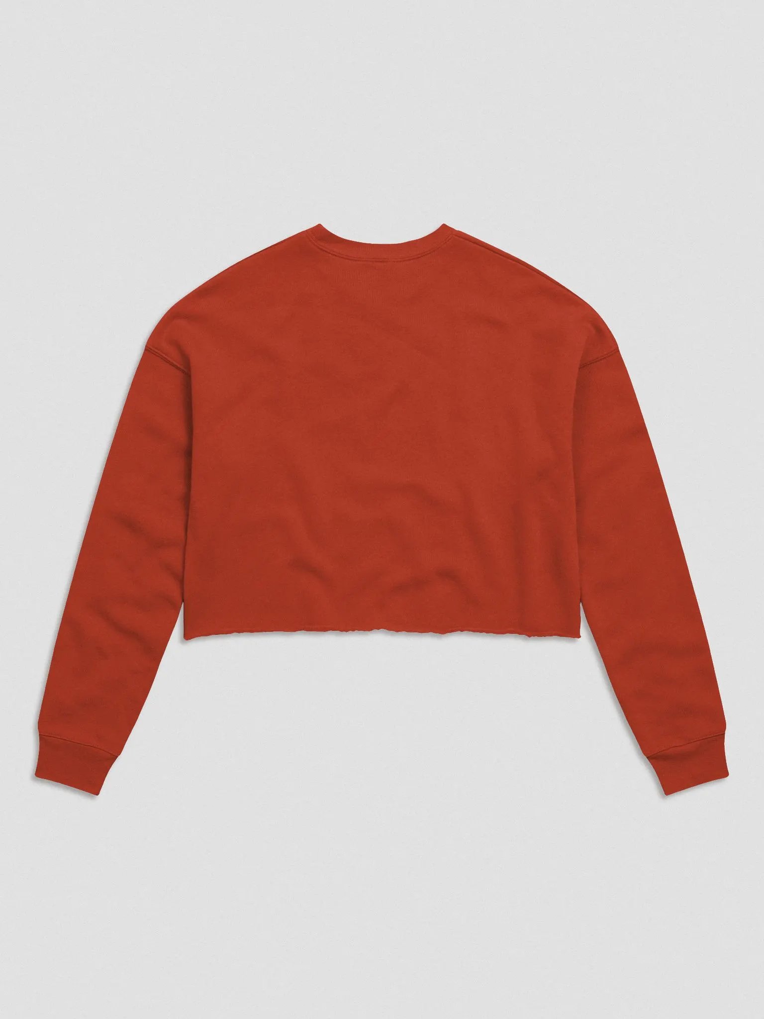 Gayboy Crop Sweater product image (16)