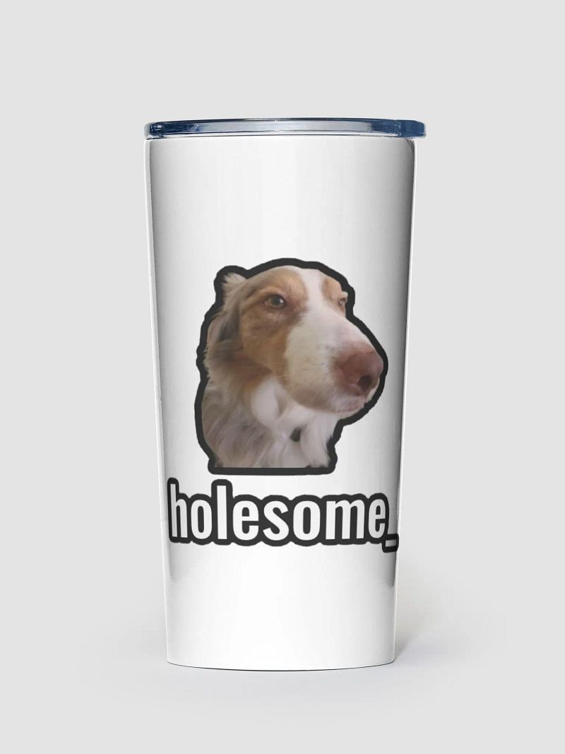 holesome Stainless Steel Tumbler (20oz)