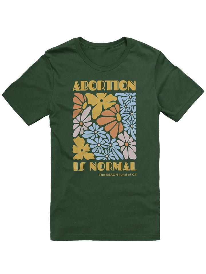 Abortion is Normal product image (1)