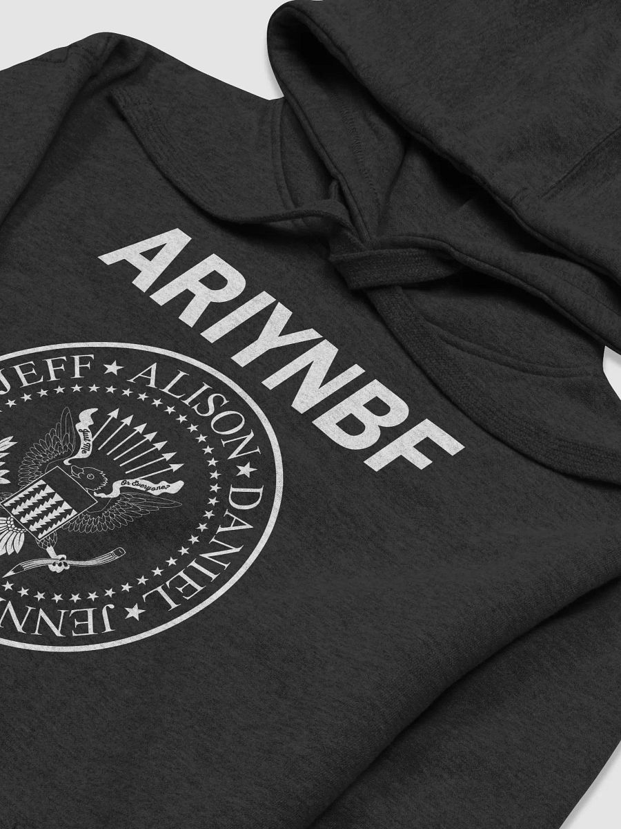 Legacy Hoodie (multiple color options!) product image (3)
