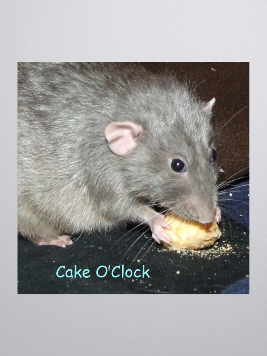 Cake o'clock sticker product image (3)