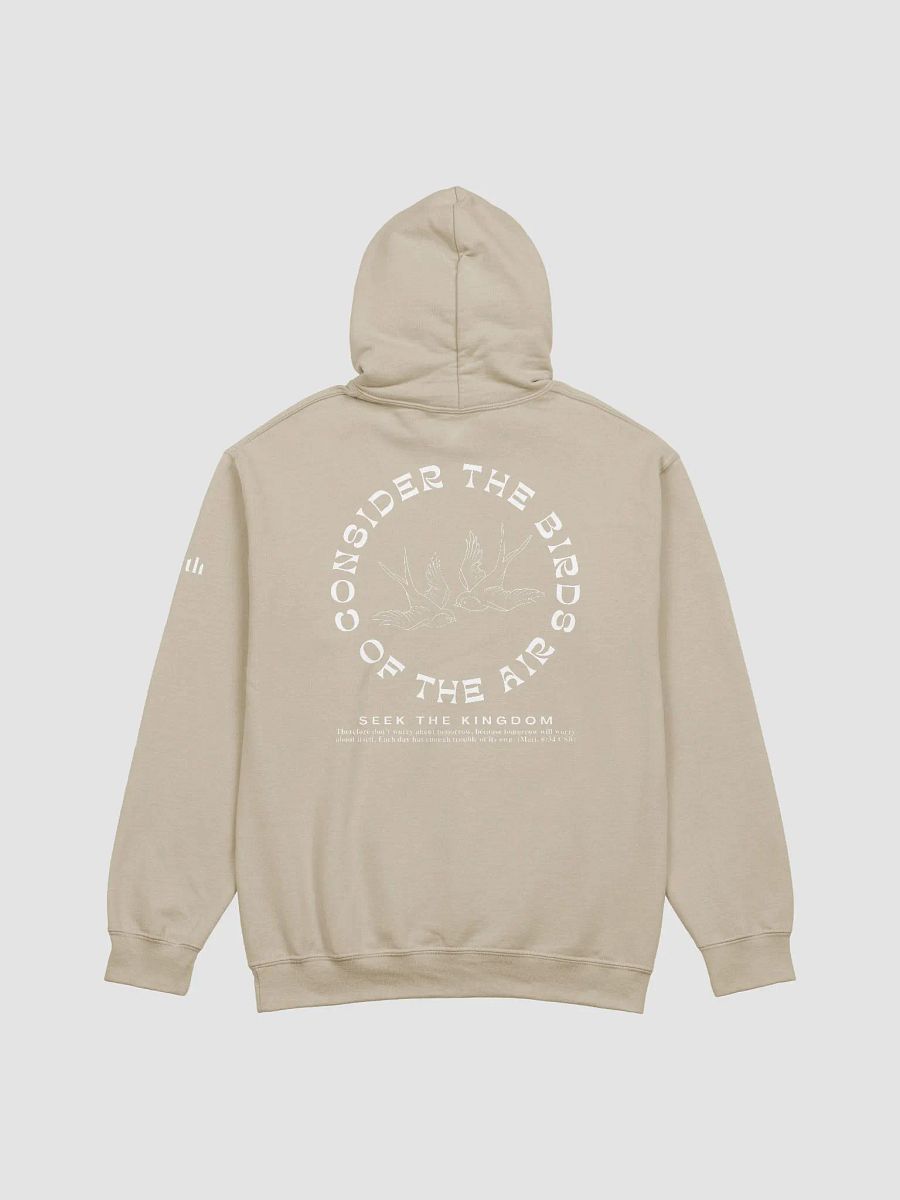 Consider the Birds Hoodie product image (2)