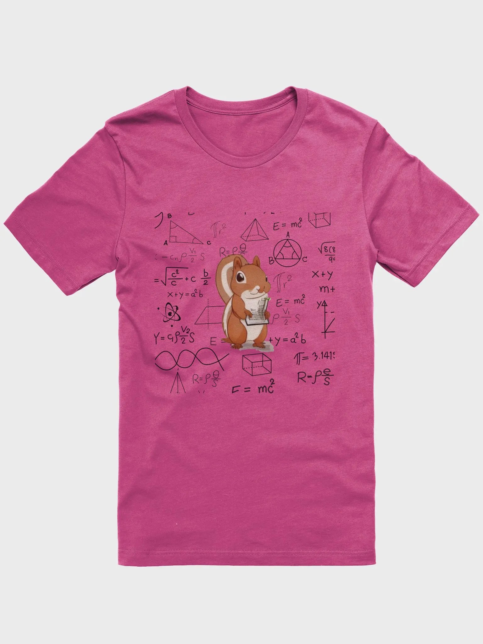 Squirrel Math product image (2)