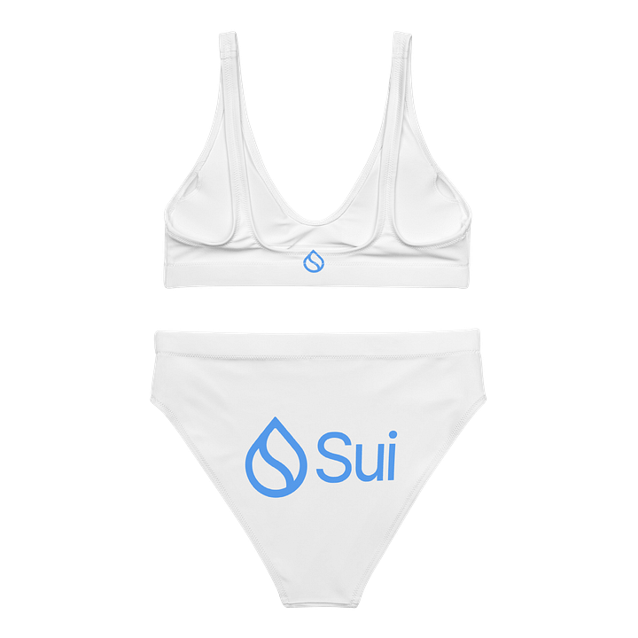 High Waisted Bikini/Sui product image (2)