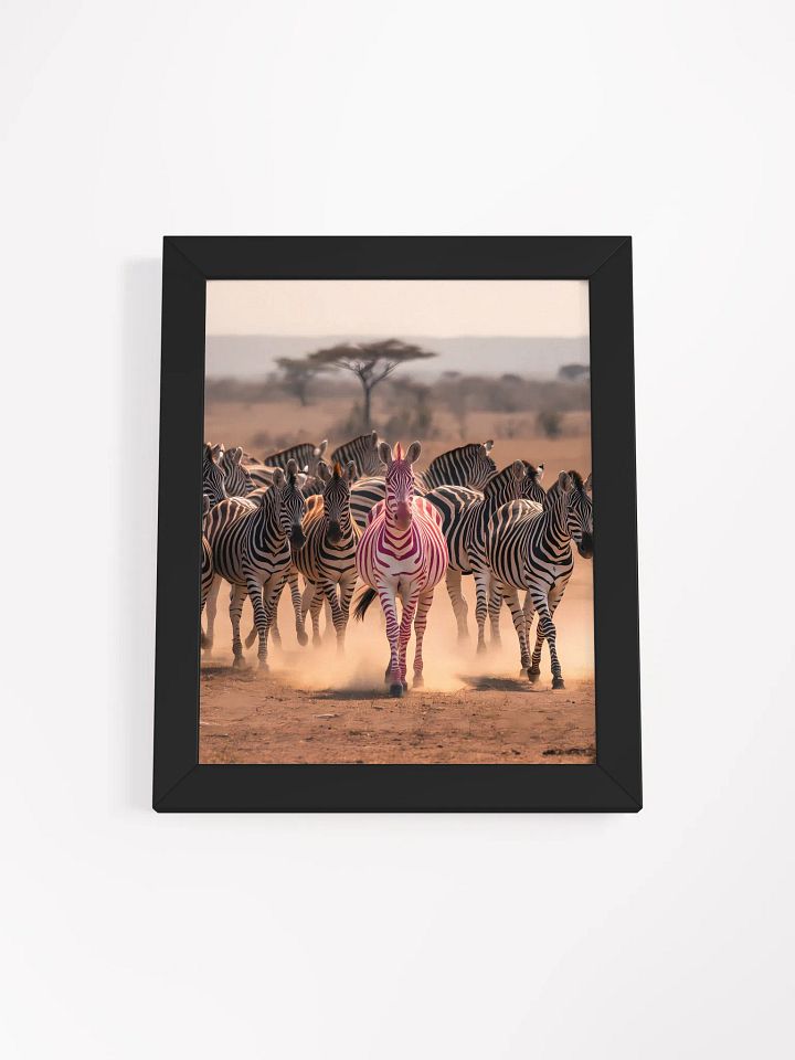 Stand Out Zebra Framed Poster product image (2)