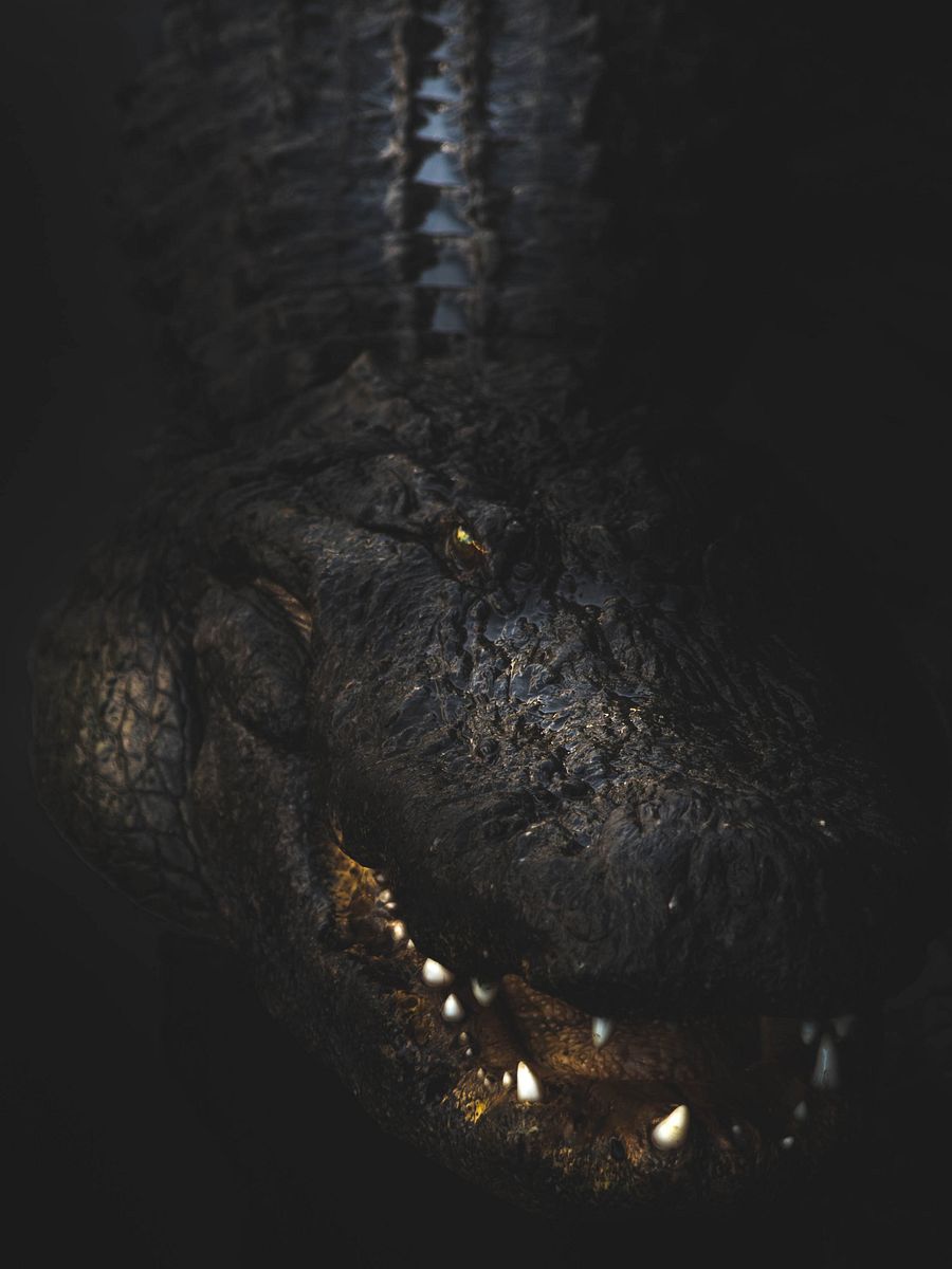 BlackWater product image (1)