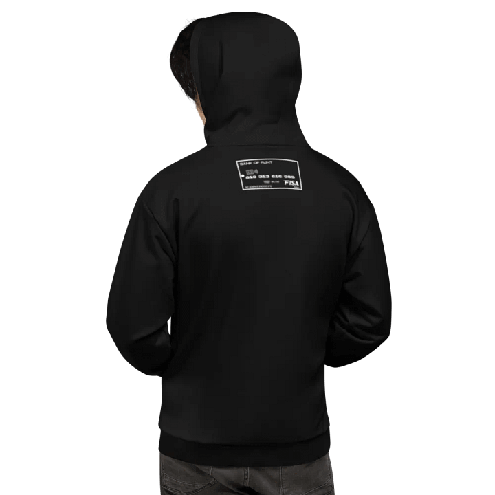 IS THIS A SCAM HOODIE product image (2)