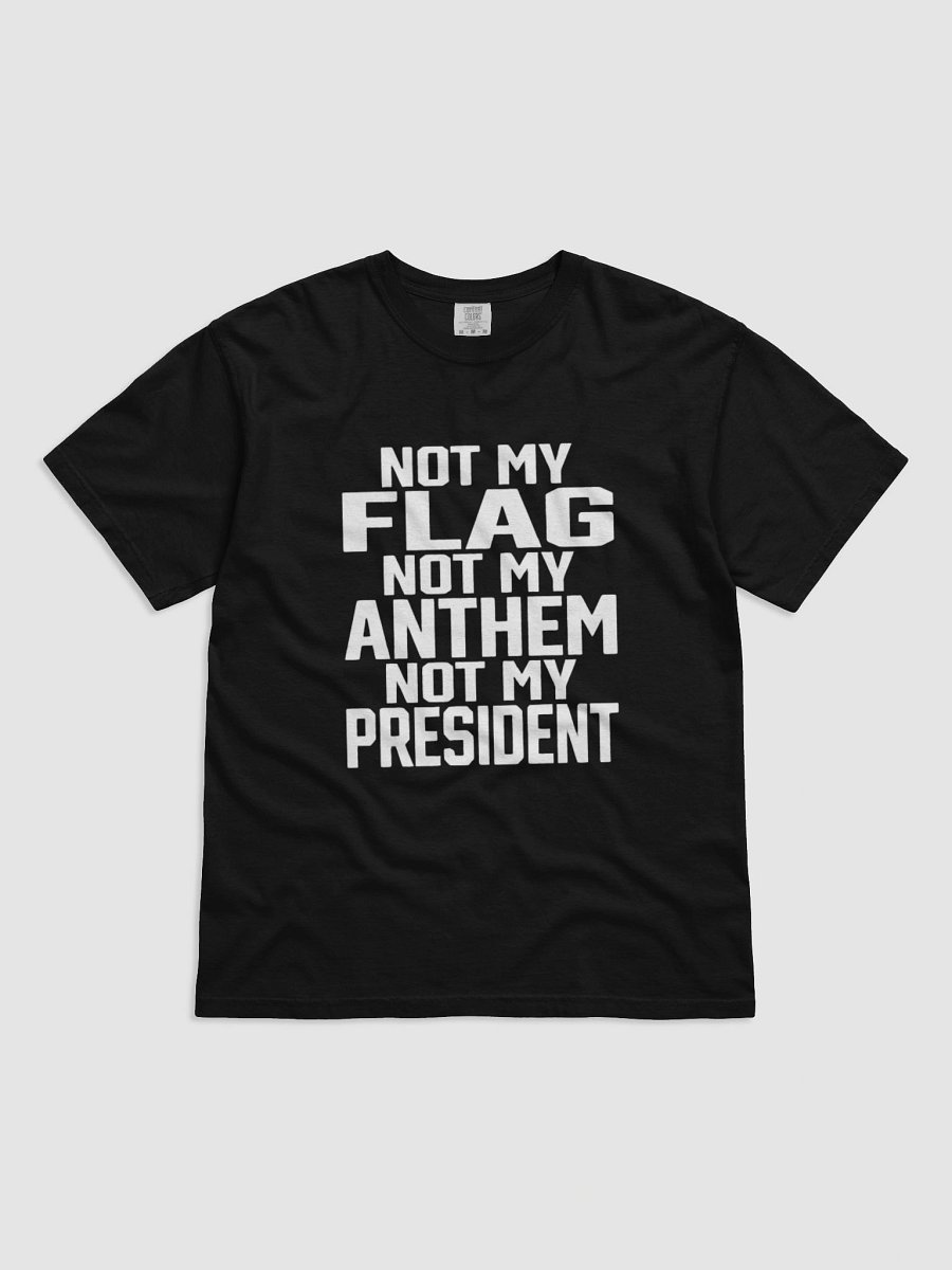 Not My President Protest T-Shirt product image (1)