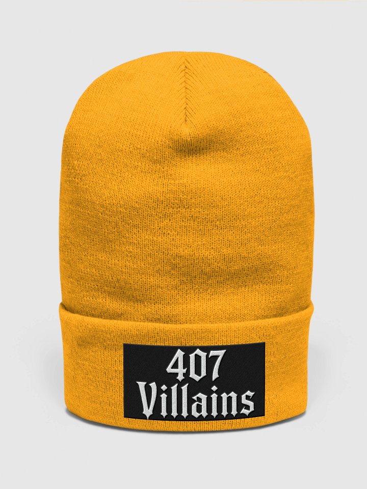 "407 Villain Beanie - Orlando Edition" product image (21)