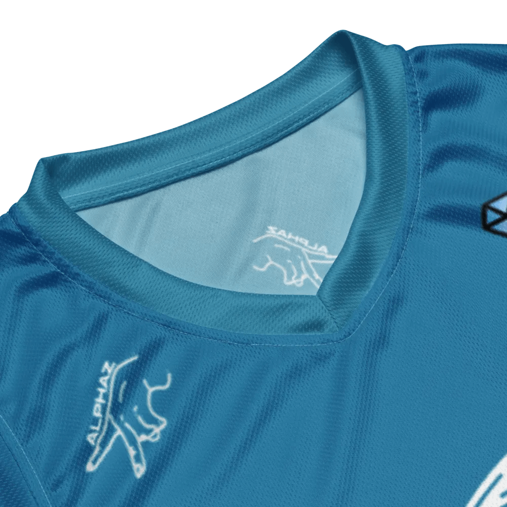 HINATA JERSEY (BLUE) product image (8)
