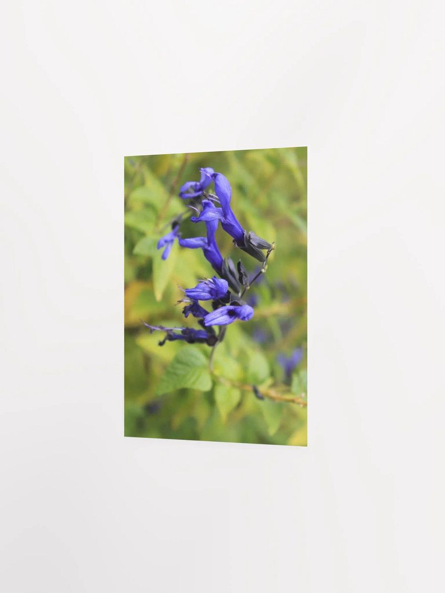 A Study in Flowers 3 product image (20)