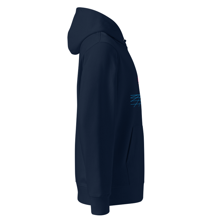 Retro Palms Organic Hoodie product image (4)