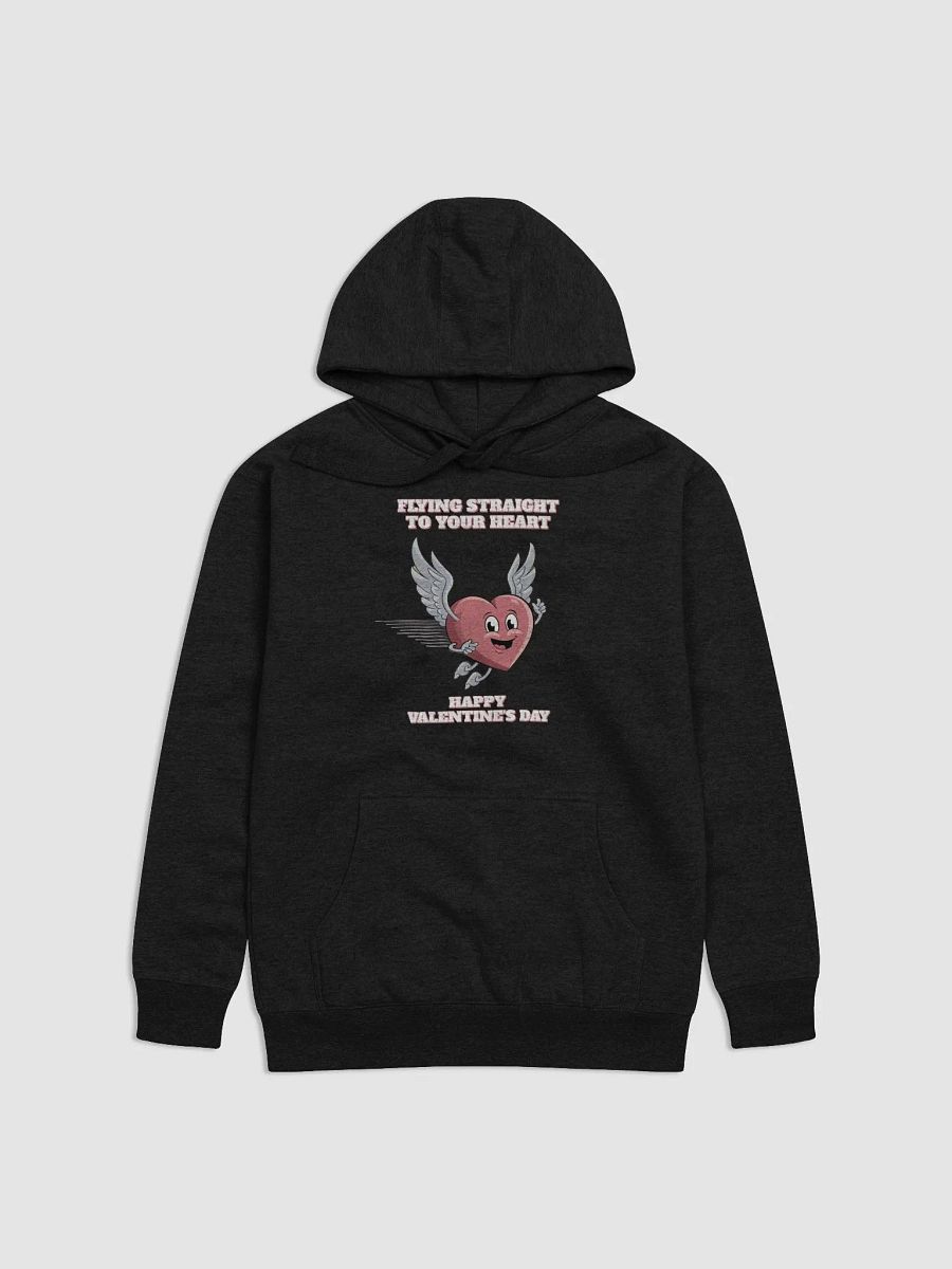 Flying Straight To Your Heart - Happy Valentine's Day Hoodie product image (14)