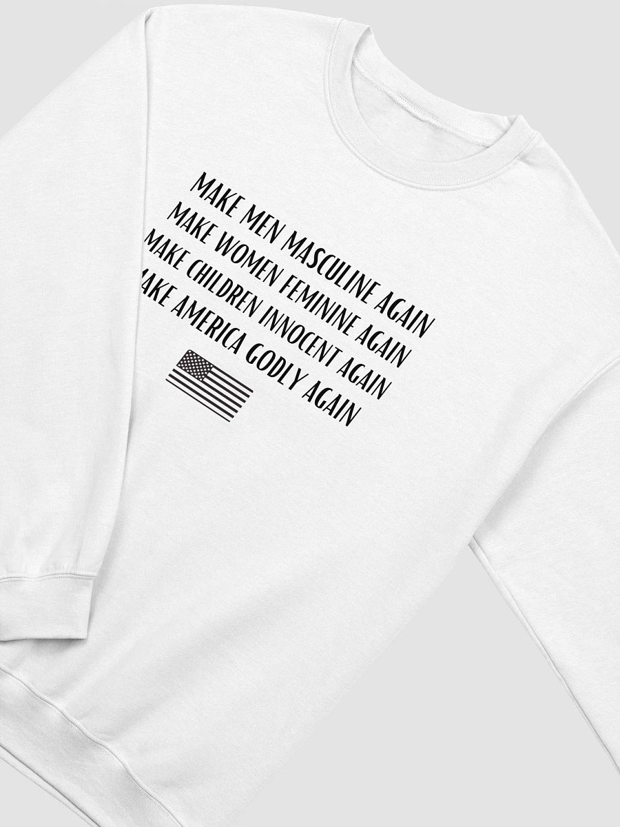 Make Everything Great Again Sweatshirt product image (2)
