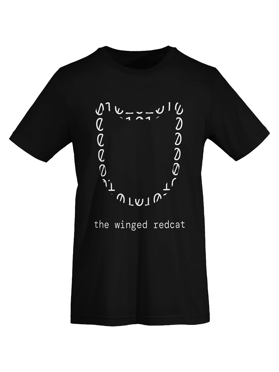 Developer - Unisex Shirt product image (14)
