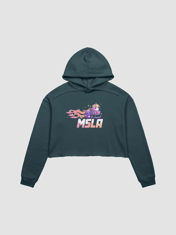 MSLA Sparkles Amigos - Cropped Hoodie product image (6)