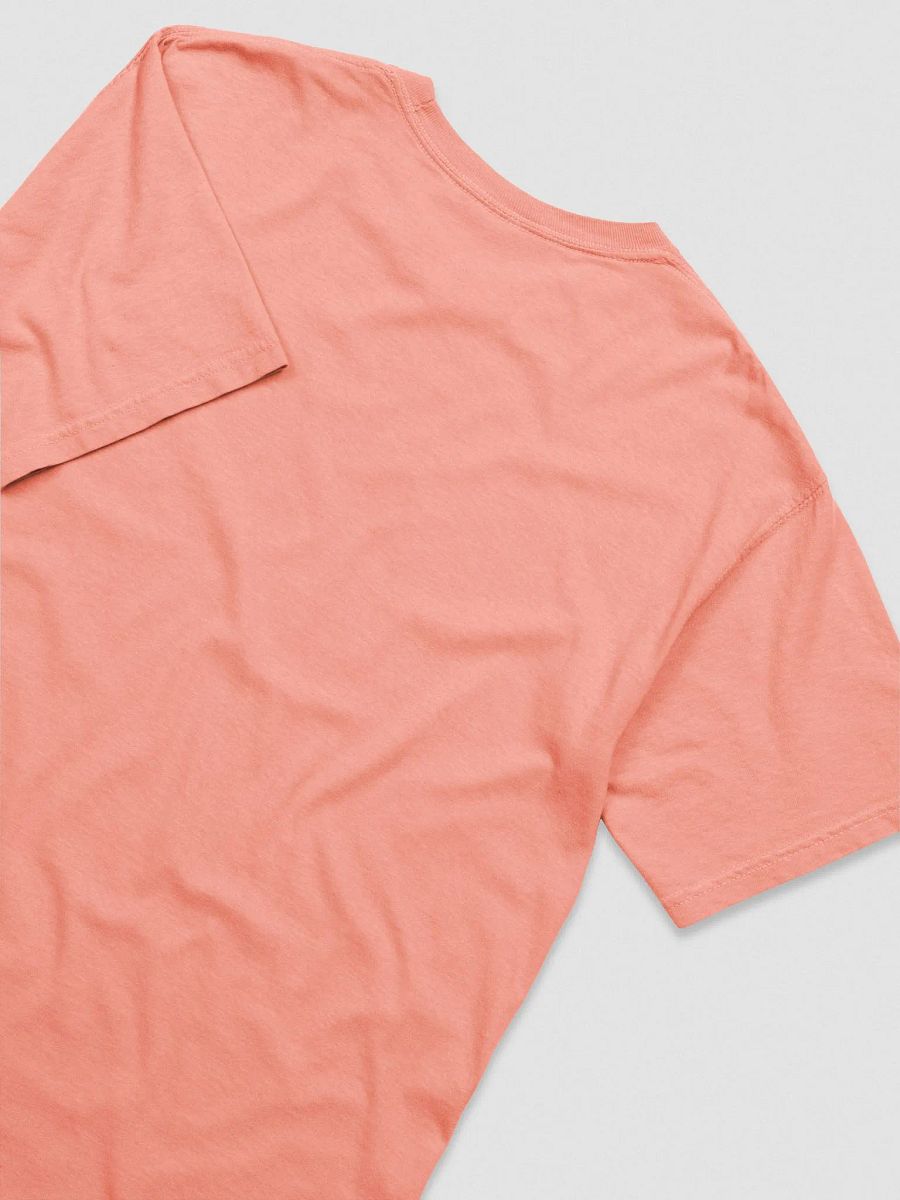 Nerd Heart (Embroidered) Tee product image (55)